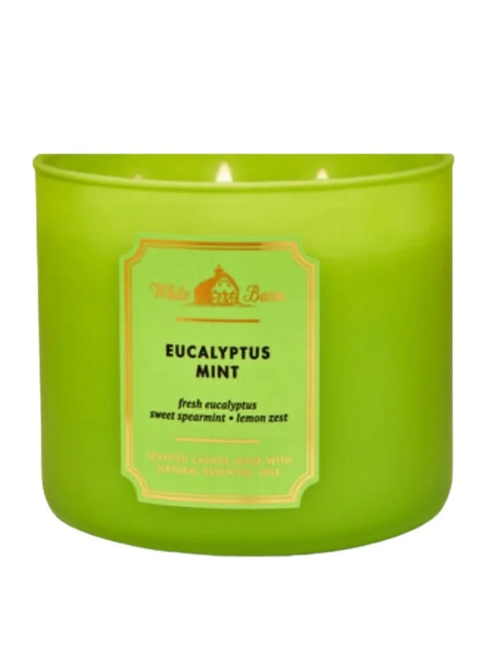Bath & Body Works Eucalyptus Mint Candle
